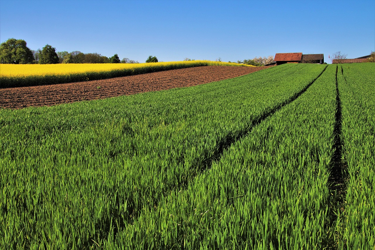 Immagine di un terreno agricolo con cartelli informativi sulle tasse e vendite immobiliari.
