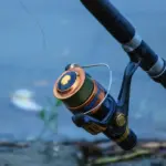 Terminale sottile e pesce combattivo: perché canna, frizione e lenza devono lavorare insieme