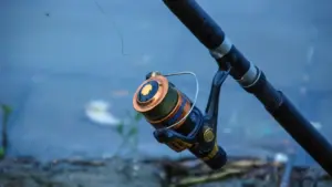 Terminale sottile e pesce combattivo: perché canna, frizione e lenza devono lavorare insieme