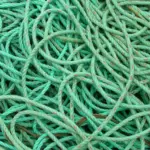 Nylon, fluorocarbon o PE: partire dal tipo di tecnica prima di scegliere il diametro della lenza