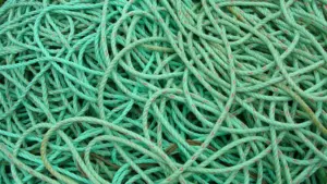 Nylon, fluorocarbon o PE: partire dal tipo di tecnica prima di scegliere il diametro della lenza