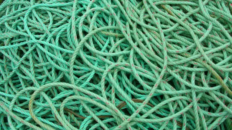 Nylon, fluorocarbon o PE: partire dal tipo di tecnica prima di scegliere il diametro della lenza