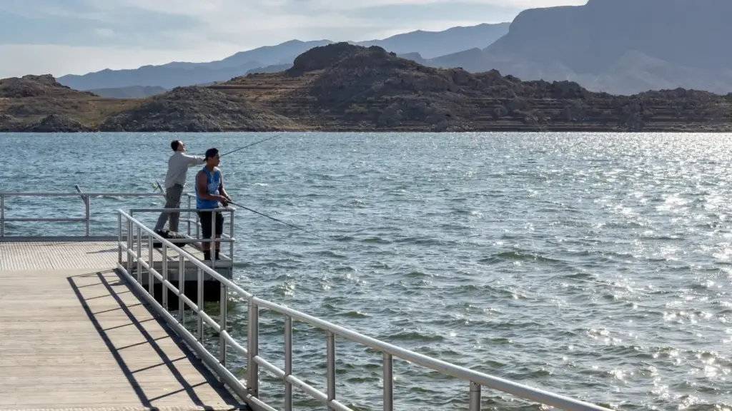 Pesca all’inglese: come far coincidere la distanza di lancio con la zona pasturata