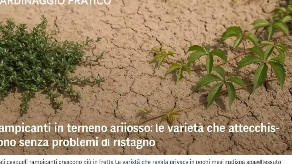 Archetto che chiude male: perché sabbia e sale vanno esclusi prima di pensare a un guasto
