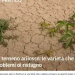 Archetto che chiude male: perché sabbia e sale vanno esclusi prima di pensare a un guasto