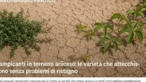 Archetto che chiude male: perché sabbia e sale vanno esclusi prima di pensare a un guasto