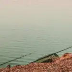 Pesca da riva in autunno: cosa cambia davvero quando l’acqua comincia a raffreddarsi