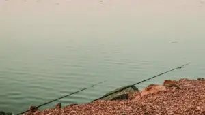 Pesca da riva in autunno: cosa cambia davvero quando l’acqua comincia a raffreddarsi