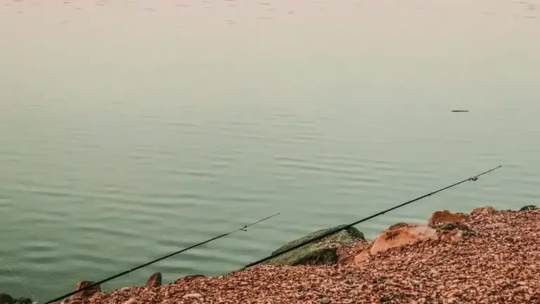Pesca da riva in autunno: cosa cambia davvero quando l’acqua comincia a raffreddarsi