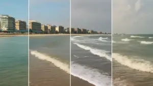 Marea in salita o in discesa: come leggere il movimento dell’acqua prima di scegliere lo spot