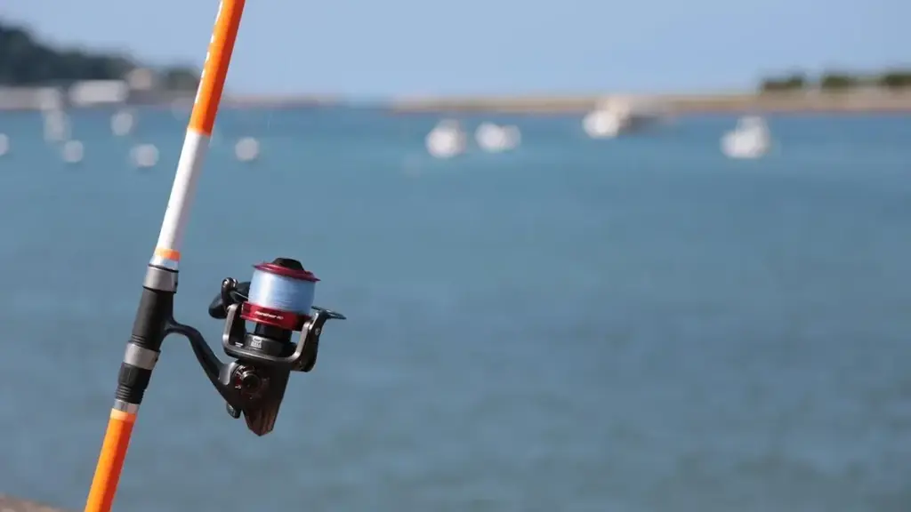 Spinning da riva: come mantenere il contatto con l’artificiale durante una pausa