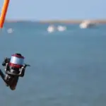 Spinning da riva: come mantenere il contatto con l’artificiale durante una pausa