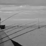 Canna da pesca: come scegliere la lunghezza in base alla distanza di lancio
