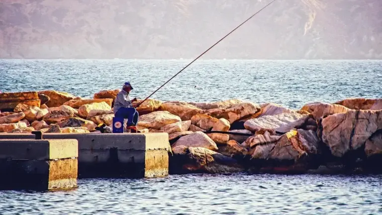 Pesca alla foce: come leggere il punto d’incontro tra corrente e mare