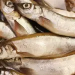 Come verificare se un minnow nuota dritto prima di pescare