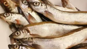 Come verificare se un minnow nuota dritto prima di pescare