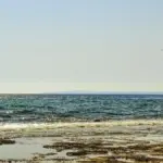 Pesca in mare: come cambia la scelta dello spot con vento da terra o dal mare