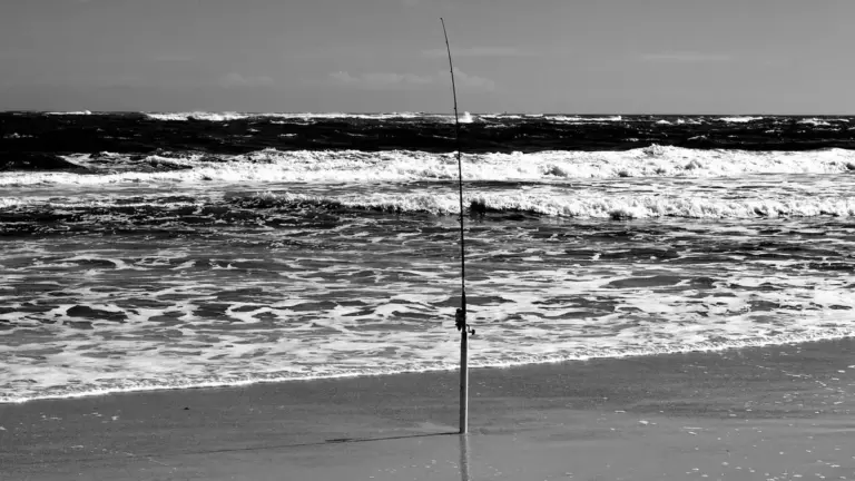 Pesca dalla spiaggia con vento laterale: quali caratteristiche cercare nello spot