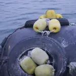 Pesca con galleggiante: come usare la sonda per regolare la profondità