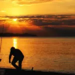 Ombra e luce nella pesca: come scegliere una sponda nelle ore di sole