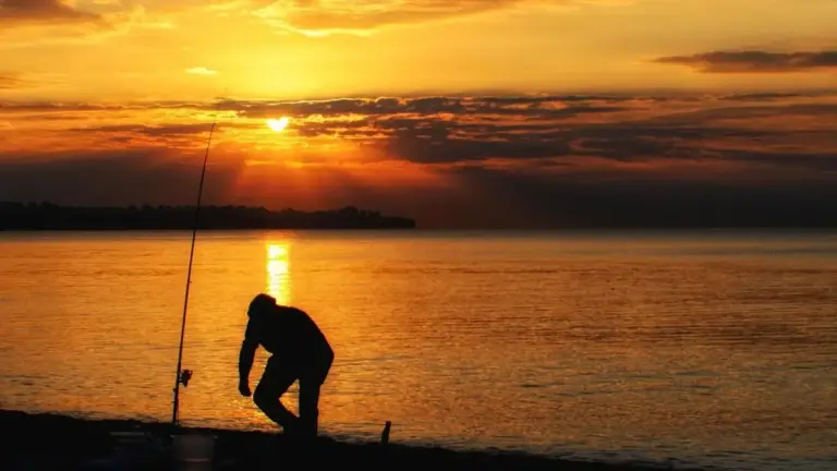 Ombra e luce nella pesca: come scegliere una sponda nelle ore di sole