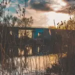 Pesca in fiume: come leggere le zone d’ombra create dalla vegetazione