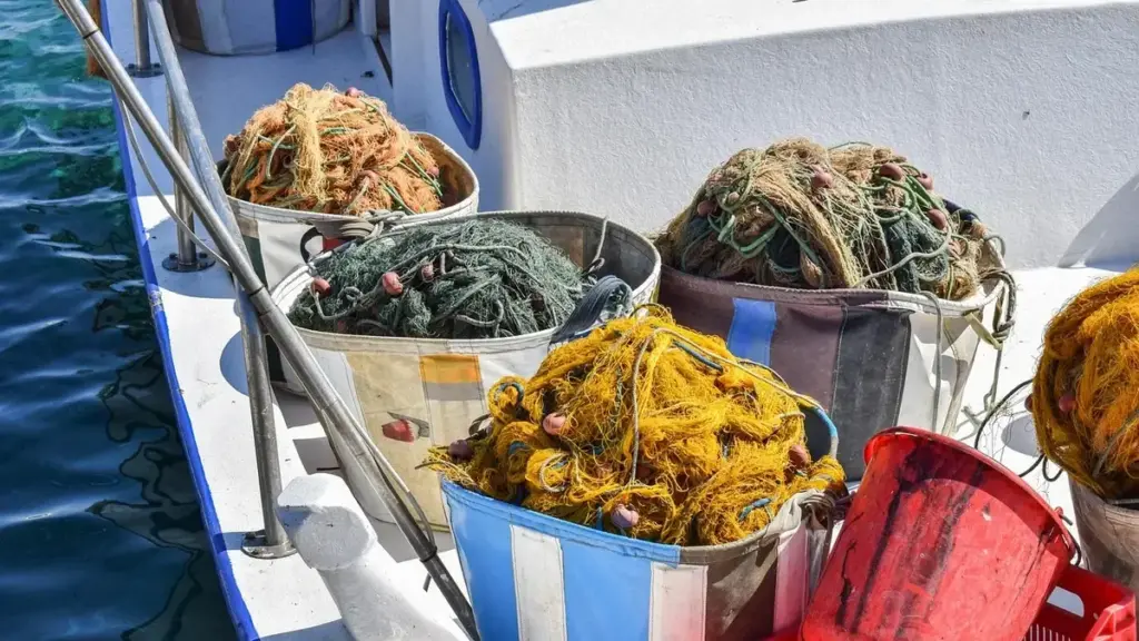 Maglie della rete del guadino: come valutarne dimensione e compatibilità con ami ed esche