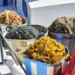 Maglie della rete del guadino: come valutarne dimensione e compatibilità con ami ed esche