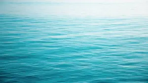 Artificiali in acqua torbida: come abbinare colore e profondità di recupero