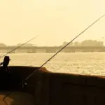 Pesca in lago: come cambia l’ombra lungo la riva durante la giornata