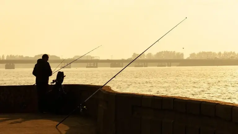 Pesca in lago: come cambia l’ombra lungo la riva durante la giornata
