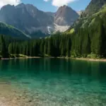 Pesca dalla riva del lago: come scegliere una sponda senza vegetazione fitta