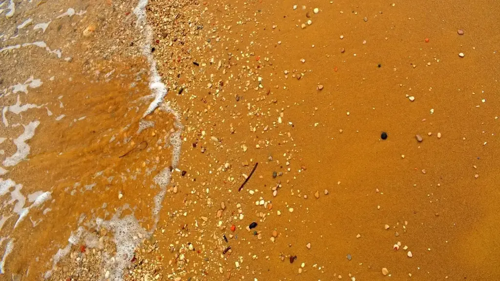 Fondale misto nella pesca in mare: come riconoscere il confine tra sabbia e roccia