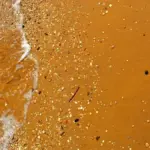 Fondale misto nella pesca in mare: come riconoscere il confine tra sabbia e roccia