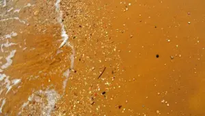 Fondale misto nella pesca in mare: come riconoscere il confine tra sabbia e roccia