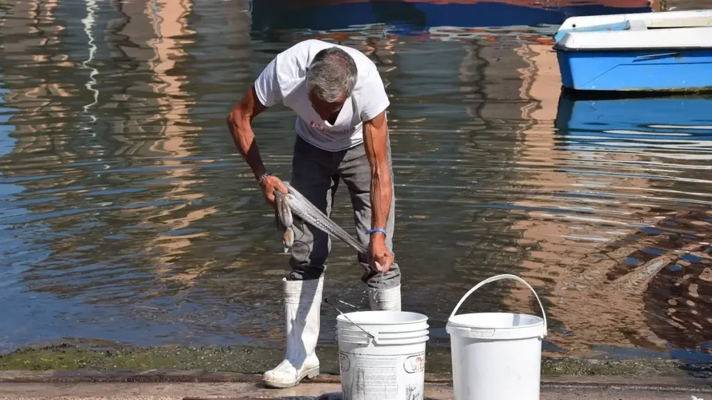 Come regolare la frizione del mulinello durante il combattimento con un pesce