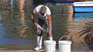 Come regolare la frizione del mulinello durante il combattimento con un pesce