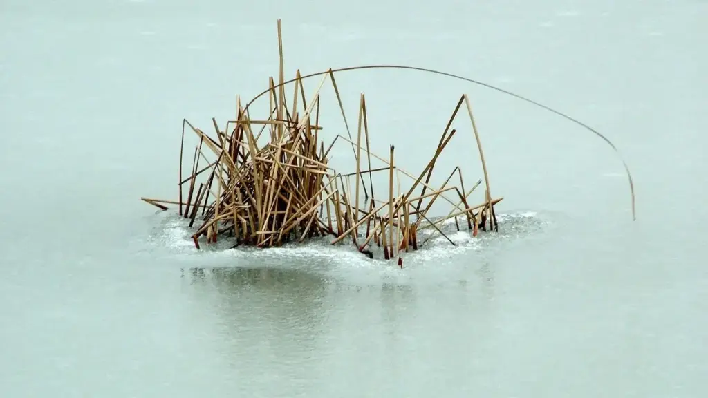 Lancio laterale nella pesca dalla riva: come eseguirlo quando lo spazio sopra la testa è limitato