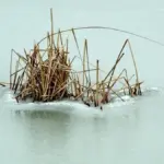 Lancio laterale nella pesca dalla riva: come eseguirlo quando lo spazio sopra la testa è limitato
