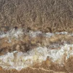 Pesca dalla spiaggia: come riconoscere i canaloni osservando la rottura delle onde