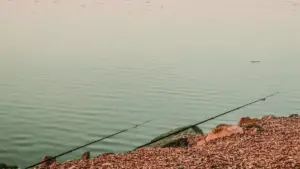 Pesca dalla diga di un lago: come valutare accessi e spazio per il lancio