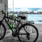 Esche siliconiche con coda paddle o a forcella: differenze nel recupero