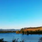Pastura per carpe in lago: come regolarne la consistenza