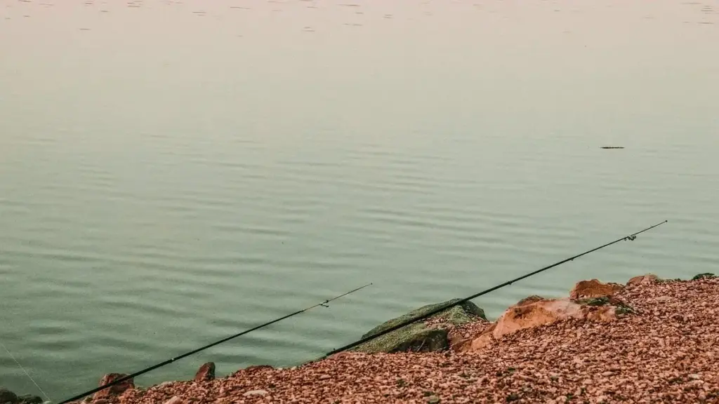 Pesca in lago con canneti: come valutare gli spazi di lancio