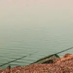 Pesca in lago con canneti: come valutare gli spazi di lancio