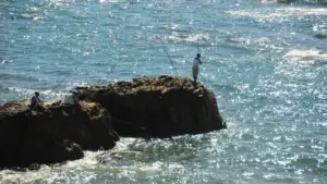 Pesca da scogliera bassa: come valutare onde e accessibilità