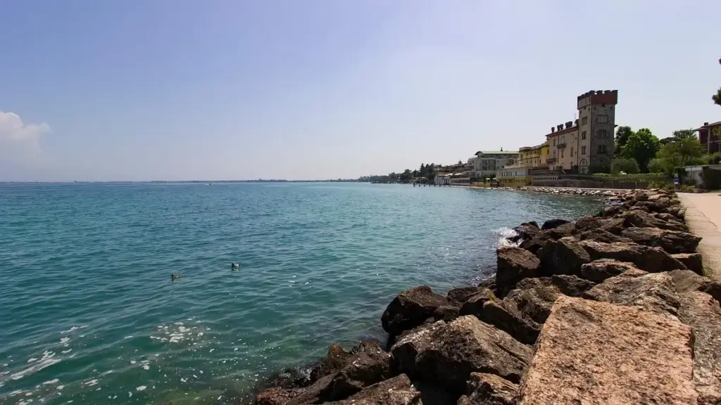 Pesca in lago con vento: come osservare le rive esposte