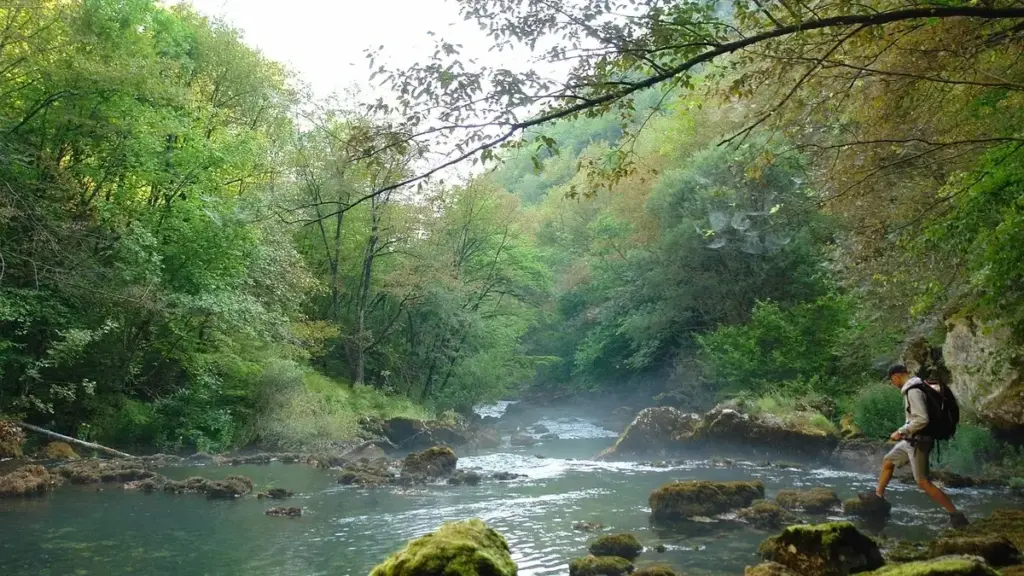 Pesca in fiume presso un’ansa: dove osservare acqua lenta e veloce